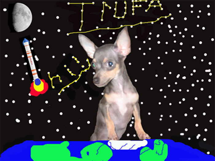 Trufa en el Espacio